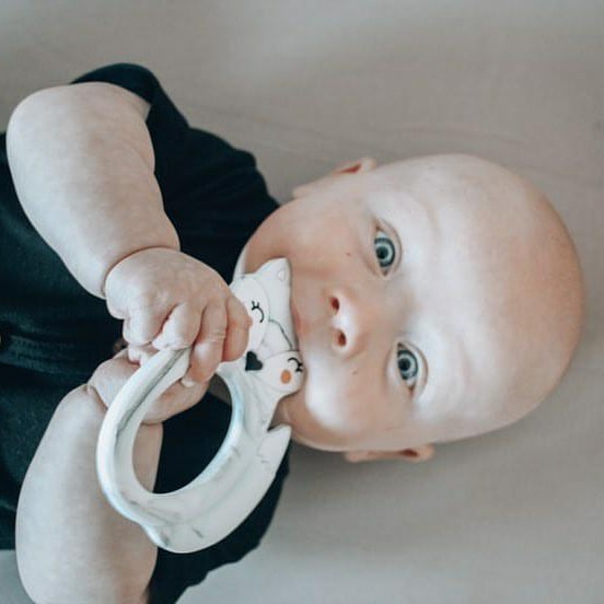 Little Cheeks Hand-Held Silicone Teether image 1